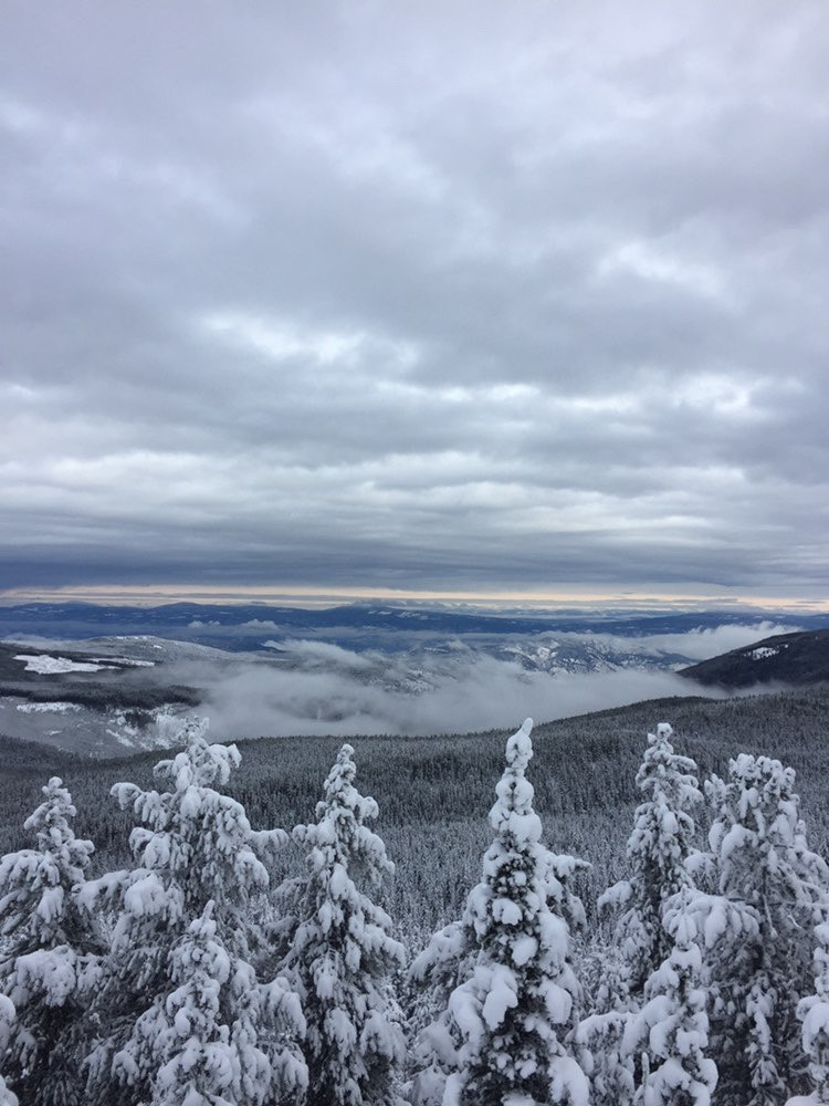 Another excellent snowshoeing adventure- this time with our grade 10 cohort. #SESSProud #SD53