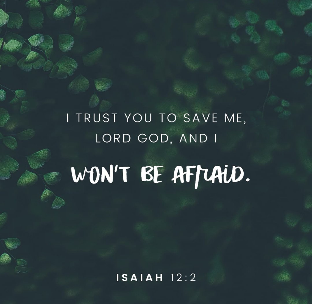 Behold, God is my salvation; I will trust, and not be afraid: for the Lord Jehovah is my strength and my song; he also is become my salvation. (Isaiah 12:2 KJV)