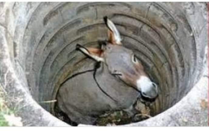 इस बार गधा बुरी तरह फंस गया है?
🤔🤔