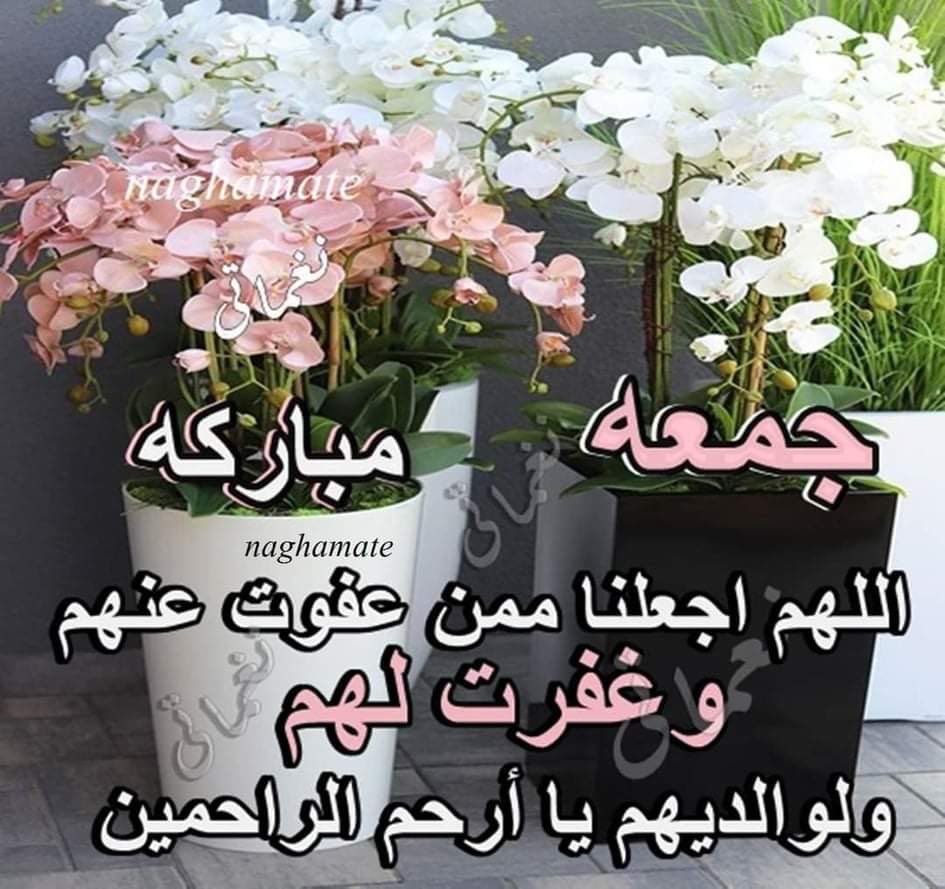 ابو مجد (@j_hi4l) on Twitter photo 