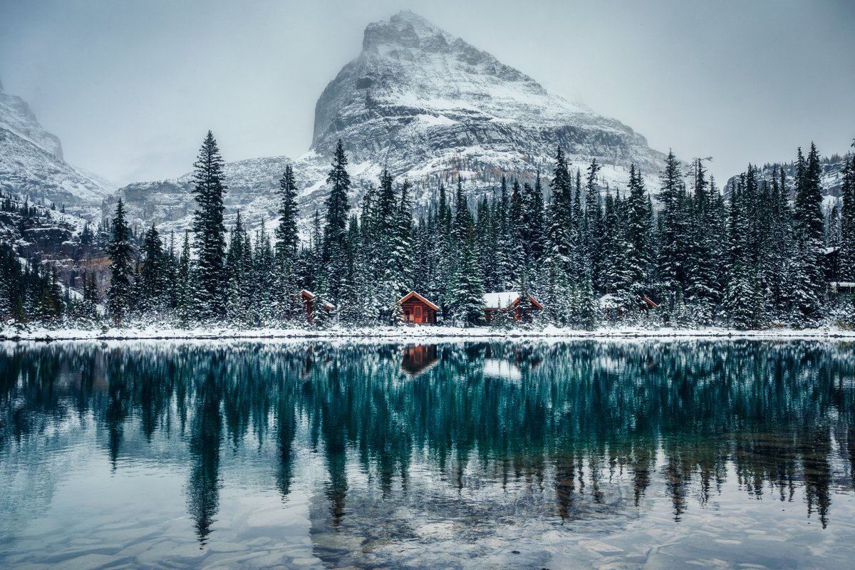 nexus_fare's tweet photo. Wooden lodge in pine forest with heavy snow reflection at Yoho national park, Canada.
.
. https://t.co/L7GRmahIbK