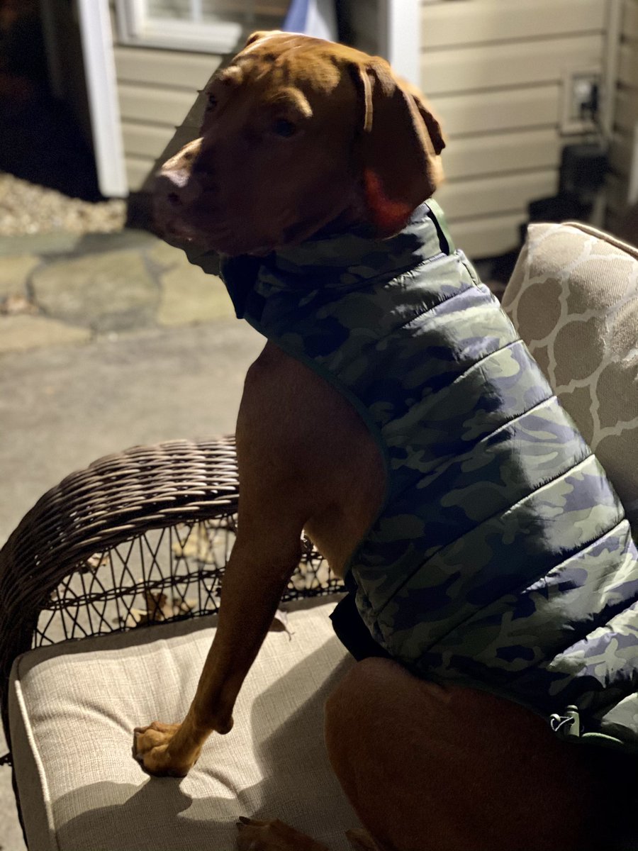 Derrick Whisel tweet media