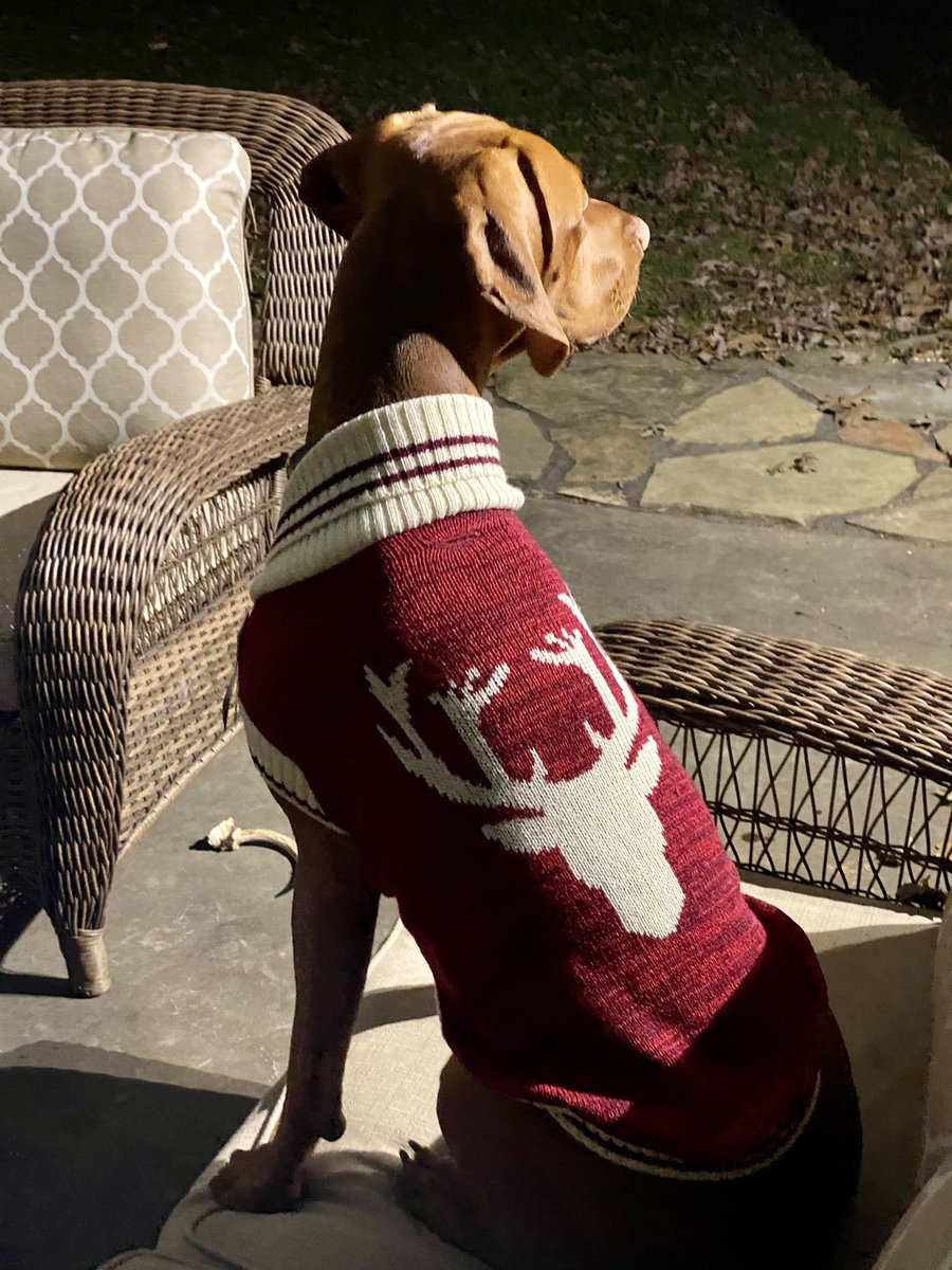 Derrick Whisel tweet media