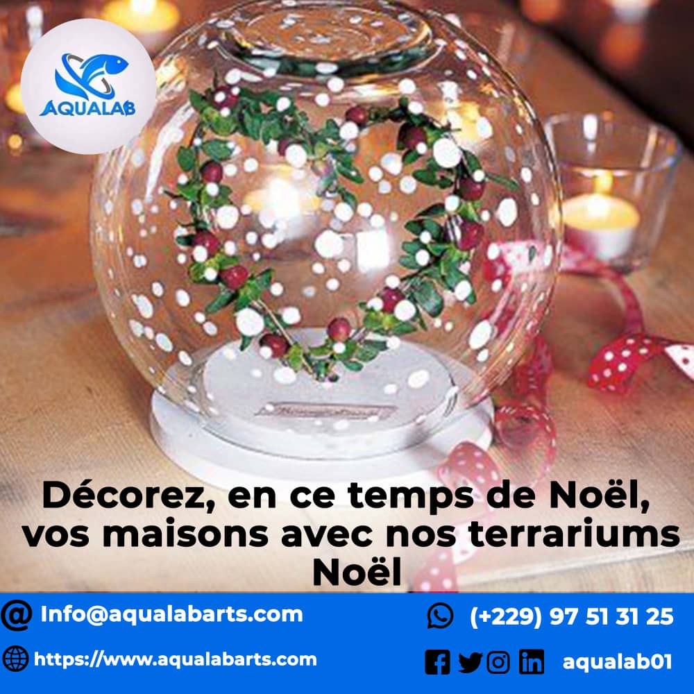 Aqualab01's tweet photo. Petit Papa Noël🎅🏿 Quand tu descendras du ciel avec les Aquariums par milliers, N'oublie pas mes petits Terrariums🎄. Mais avant de partir, il faudra bien prendre par AQUALAB afin d'être au cœur de l'eau💧. C'est un peu à cause de moi.🌟

📱(+229) 97513125 

#Aqualab #AqualabBénin https://t.co/awDD4fhdsx