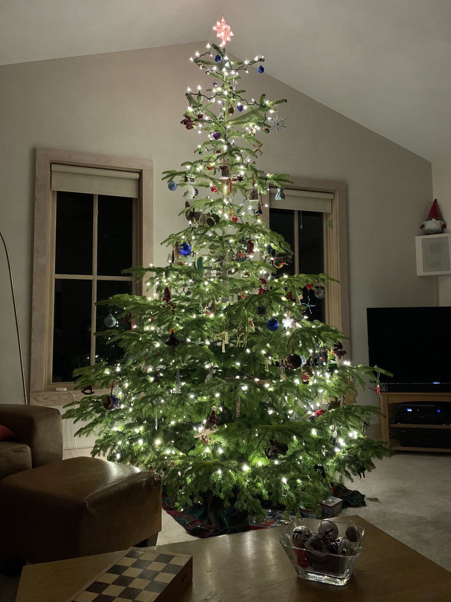 ccnissen's tweet photo. Lights 

Love the lights of the holy days in December . 

#Hanukkah 
#Christmas 
#lights
#candles
#faith
#hope
#dec2020 https://t.co/yIKCCh23EO