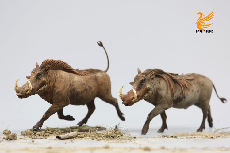 Post by 王东飞on X: 愉快奔跑的疣猪