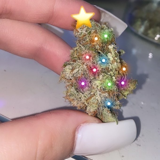 merry christmas ? https://t.co/5m3N3EkhfZ