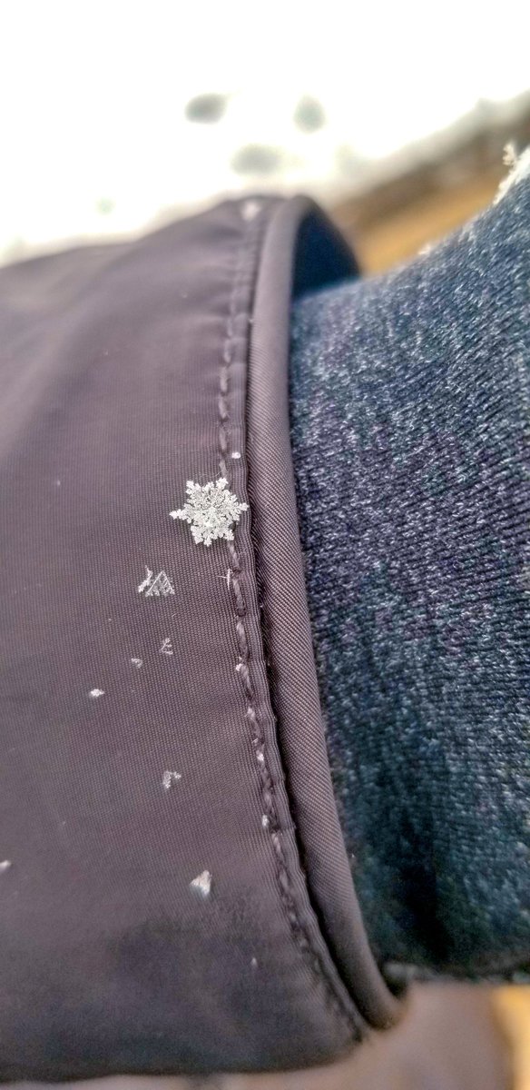 narniarawr's tweet photo. Took a stroll around NYC, stopped to adjust gloves, and found this :) https://t.co/aPpahJkgze