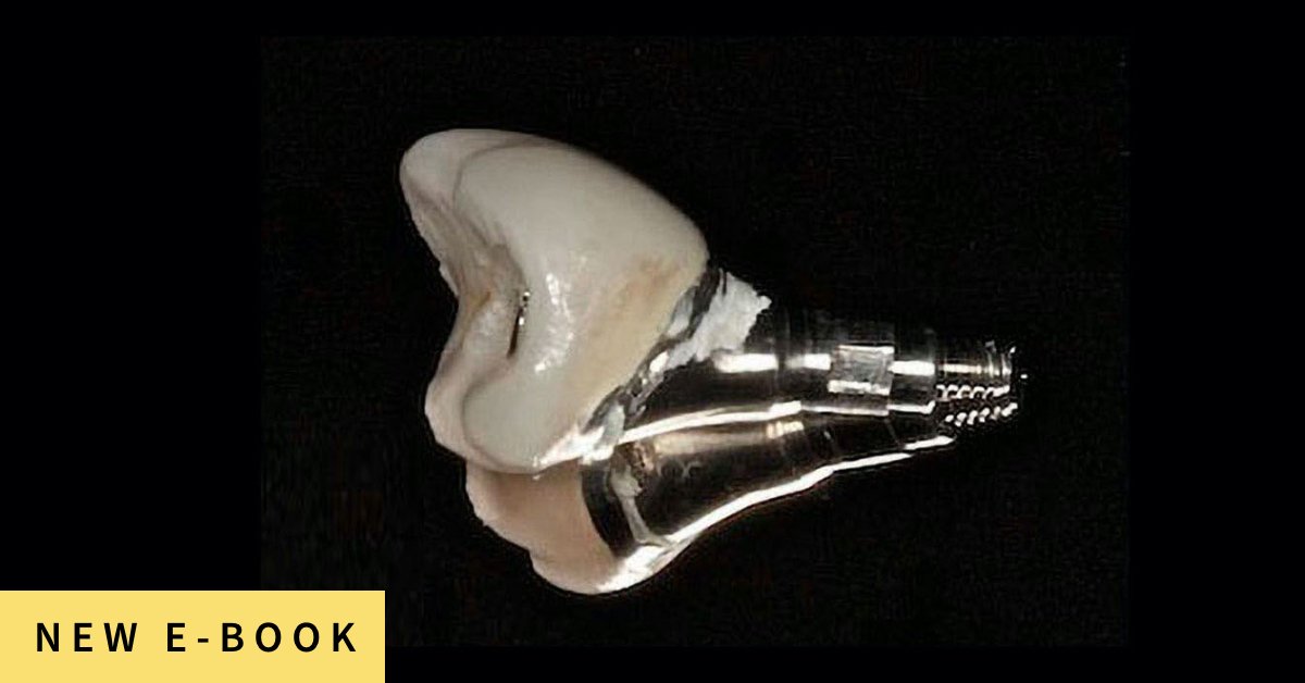 Spear Education tweet media