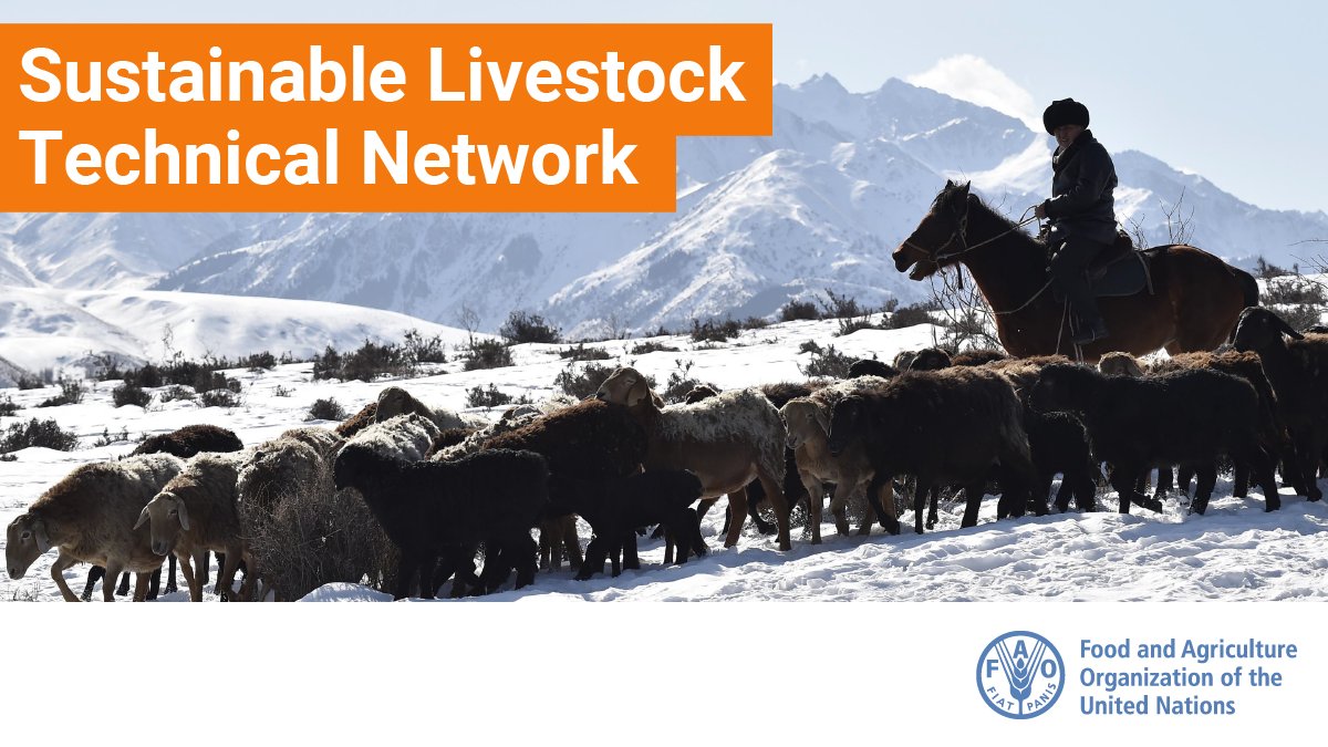 .<a href="/FAO/">Food and Agriculture Organization</a> the #FAOSustainableLivestockTechnicalNetwork newsletter provides latest news, highlights, job opportunities and much more on the #livestock sector.  

Read it👉 bit.ly/2LgFmNl