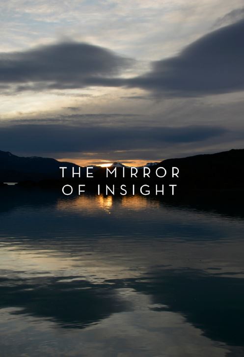 wwwholybookscom's tweet photo. The Mirror of Insight with the subtitle: The Buddha as a Strategist is a free e-book by Thanissaro Bhikkhu, a monk from the Metta Forrest Monastery. The book focuses on the Buddha’s four fold strategies for gaining liberating insight. https://t.co/HFPv3qLU7L https://t.co/0UY6J1fIPS