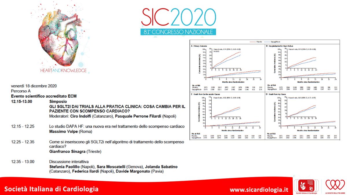 Federica Ilardi tweet media