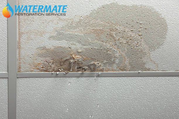 WaterMateMedia's tweet photo. All that water from our last tweet leaked into this one. https://t.co/Zbg1H8EX3T