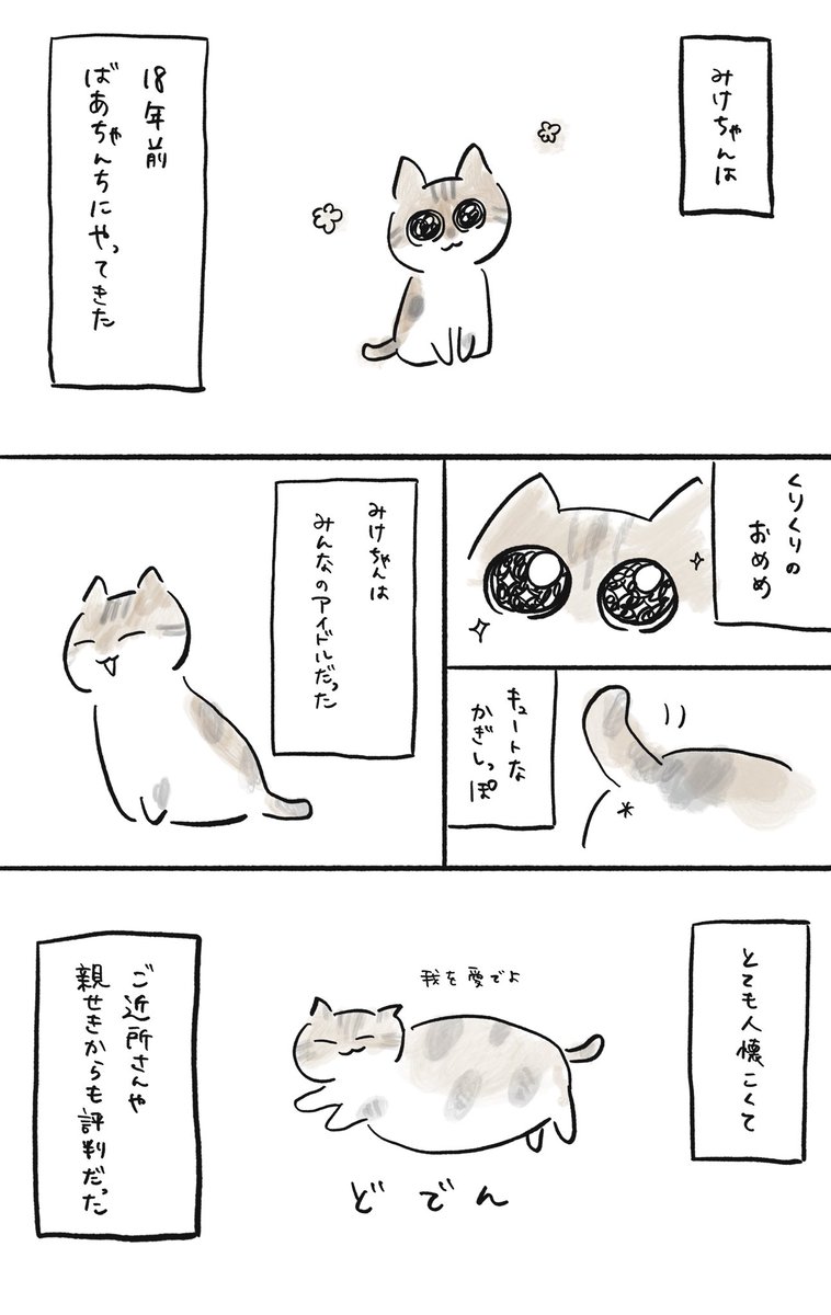 先月、ばあちゃんちの猫が18歳という長い生涯を終え息を引き取りました。最期の数年は毎日病院で点滴打っていたけど、よくがんばりました。そんなみけちゃんに愛を込めて???? 