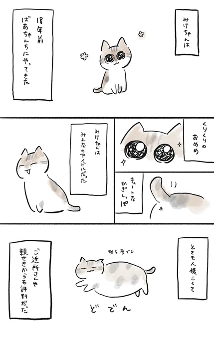 先月、ばあちゃんちの猫が18歳という長い生涯を終え息を引き取りました。最期の数年は毎日病院で点滴打っていたけど、よくがんばりました。そんなみけちゃんに愛を込めて???? 