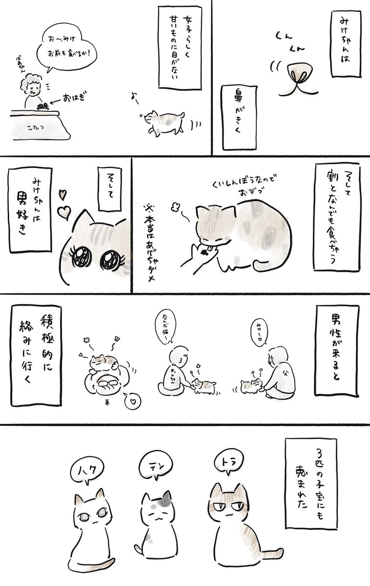 先月、ばあちゃんちの猫が18歳という長い生涯を終え息を引き取りました。最期の数年は毎日病院で点滴打っていたけど、よくがんばりました。そんなみけちゃんに愛を込めて???? 