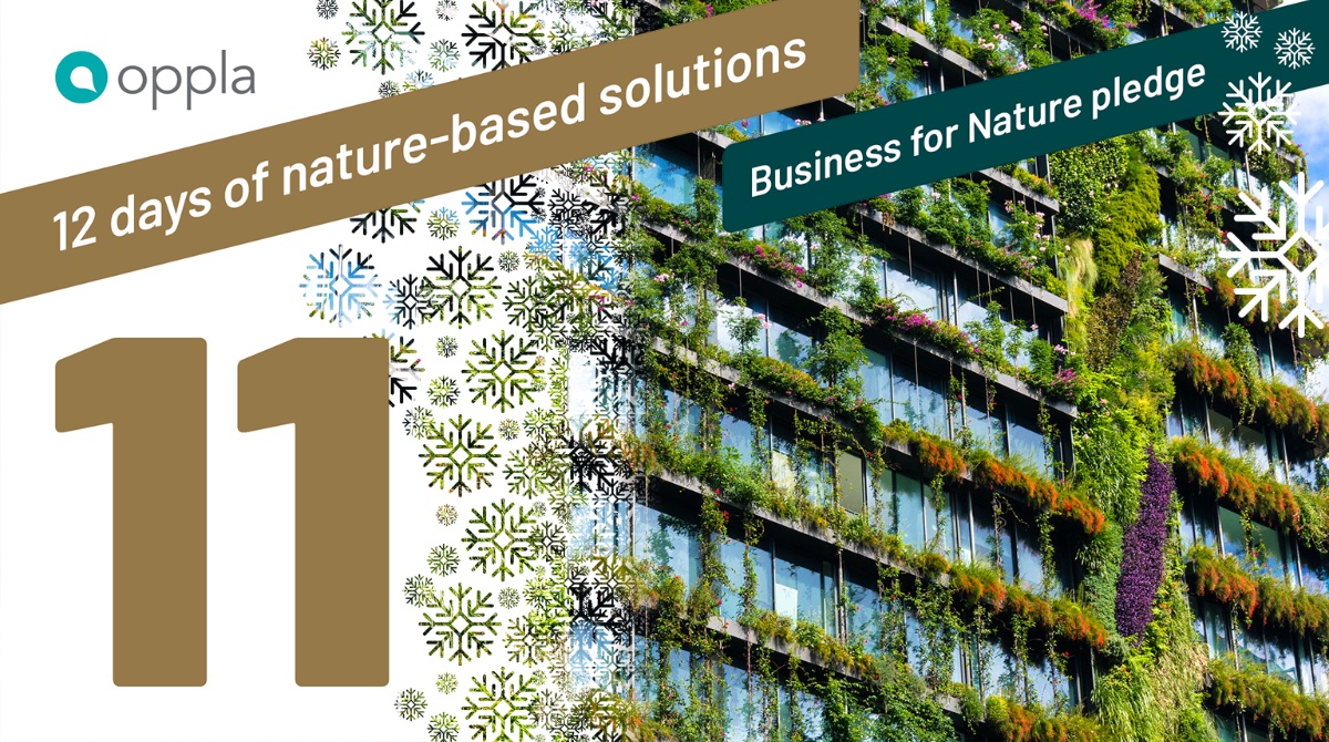OpplaCommunity's tweet photo. Making a list and checking it twice.. more than 600 companies, including Oppla, signed on to @BfNCoalition call for action. 

For the 11th of #12DaysofNBS check out the full list of businesses calling for ambitious and collective action for nature:
https://t.co/87nmMtLGZ4 https://t.co/m5gll0ZZT6