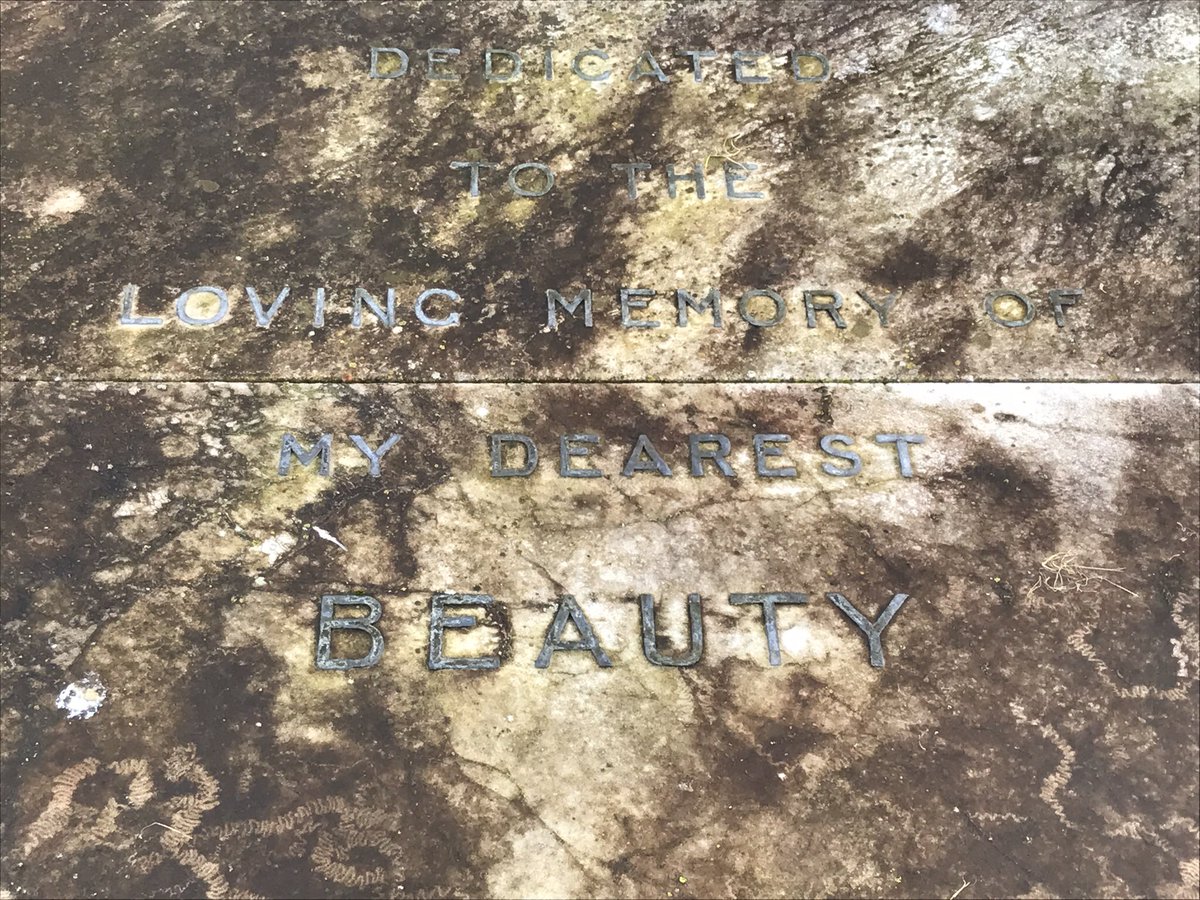The Great Lafayette - real name Sigmund Neuberger - wanted a proper burial for his dog. However, animals were not really allowed to be buried in ‘people’ graveyards. Lafayette overcame Edinburgh councils resistance by promising that when he died, he’d be buried with Beauty.