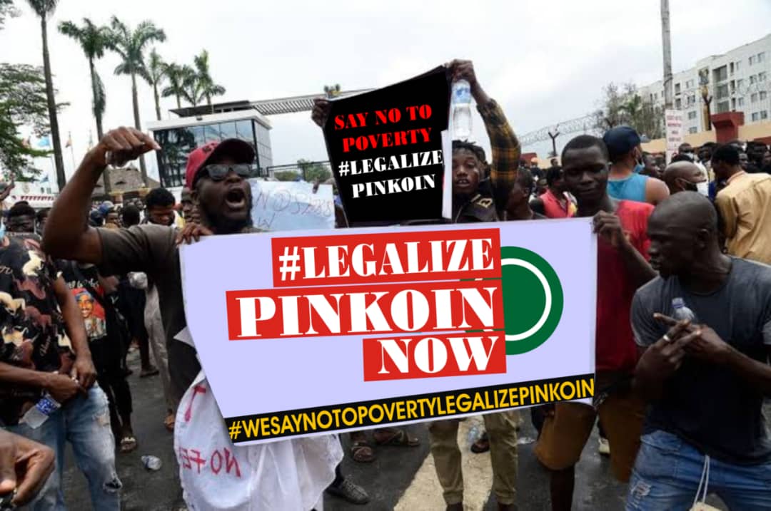 FestusAllen's tweet photo. Pinkoin is the future of Nigeria.... please retweet #LegalisePinkoinInNigeria https://t.co/lyf1IhOwWB