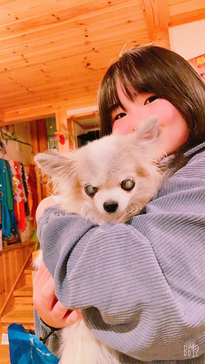 犬の脳腫瘍 犬の脳腫瘍