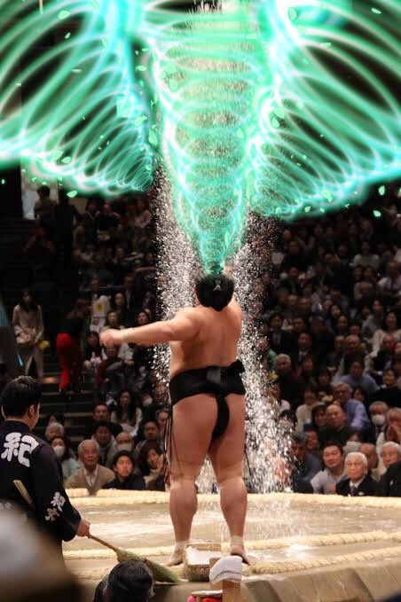 雜草 遠距離にまで対応してるタイプの力士
