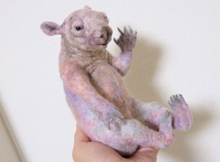 Twitter 上的 てつ ウォンバットの赤ちゃん最高に腹立つな T Co F4gzk8eqpv Twitter