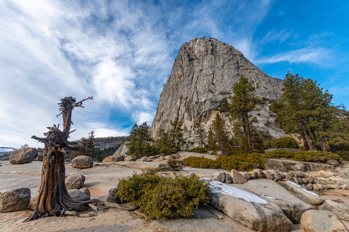 m2niac's tweet photo. Liberty Cap
---
#libertycap #rock #oldtree #drytree #yosemite #yosemitenationalpark #water #reflection #tree #sky #clouds #landsсаре #nature #california #usa #travel #nature #outdoors #shadows #walk #photo #photographer #photography #фото #m_hladchenko #youpic #500px https://t.co/TuV1prPYh2