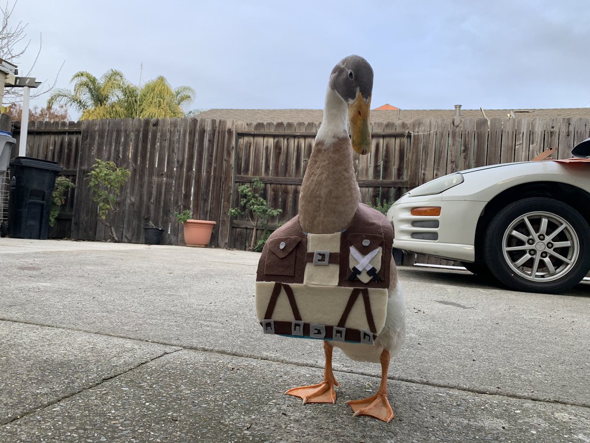 How do I look?-🦆 #TitoTheDuck #AttackonTitan