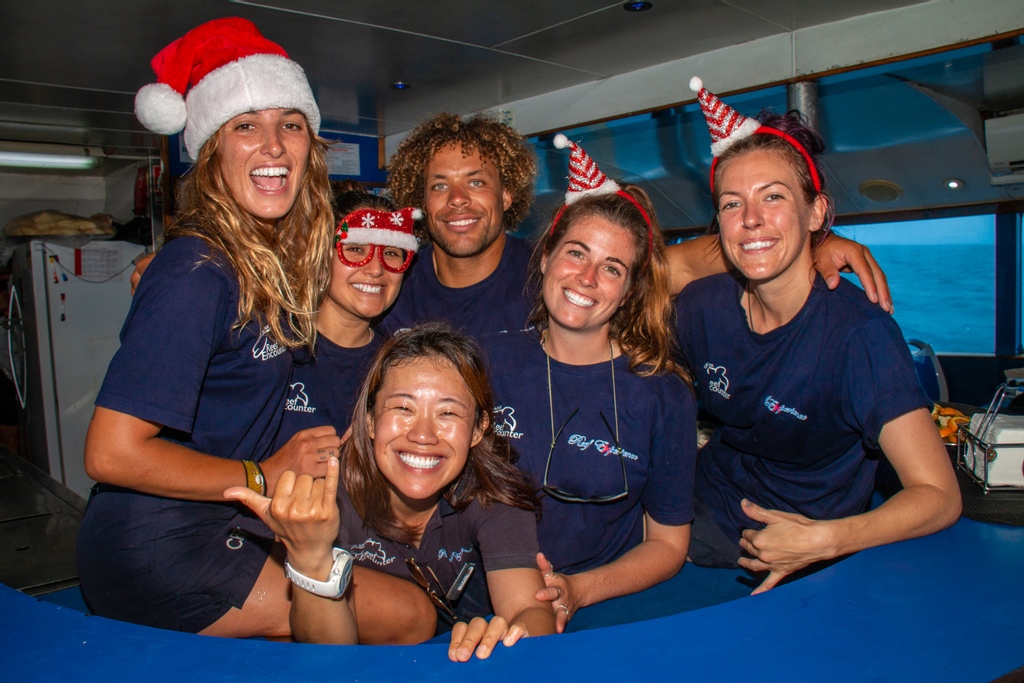 reefexperience's tweet photo. "The joy of brightening other lives becomes for us the magic of the holidays." —W.C. Jones

🖥️  https://t.co/BVJZ4crbC4 

#reefexperience #bestcrewonthereef #happinessfactor #HolidayHereThisYear #SummerChristmas #ChristmasDownUnder #SummerSanta https://t.co/8Pqe9ese6m