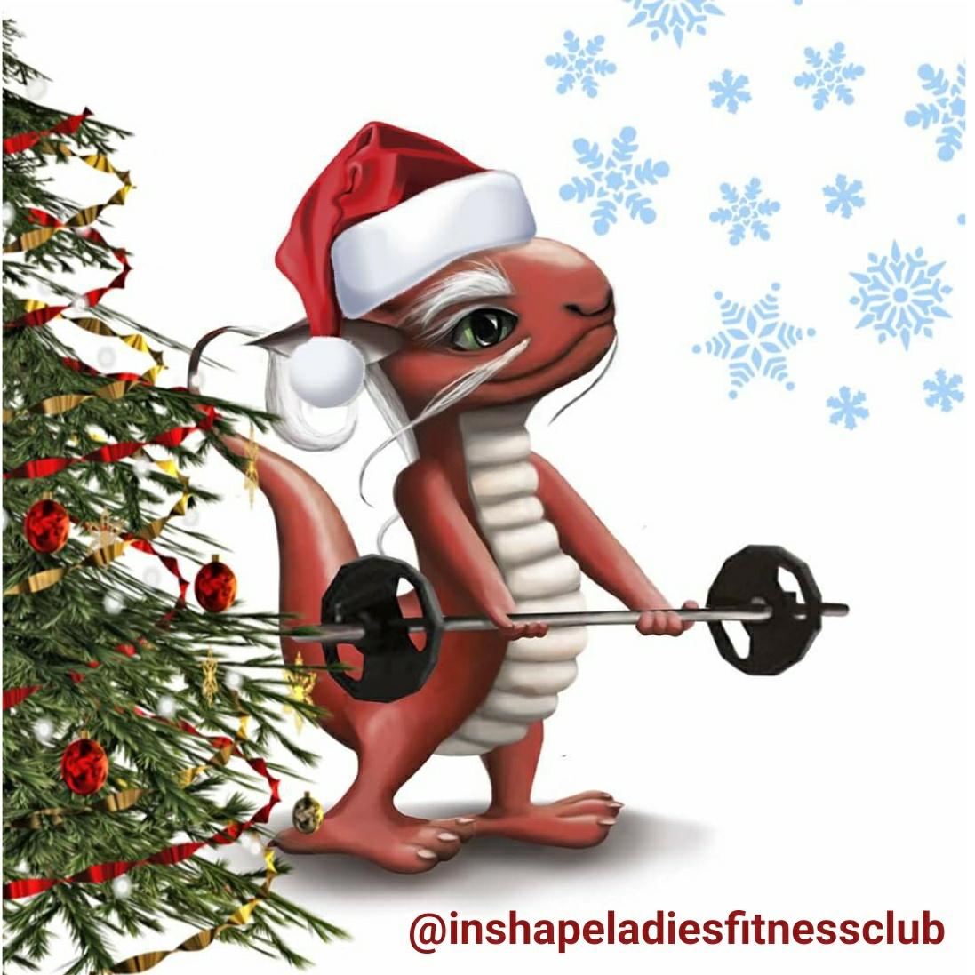 inshapeme's tweet image. It's the TIME for GIVING ? Great offer? conta.cc/34aS5bg