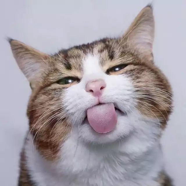 Metanoia100's tweet photo. He's just always boasting. Who cares 😂 😂 https://t.co/cgWUSqGjxm