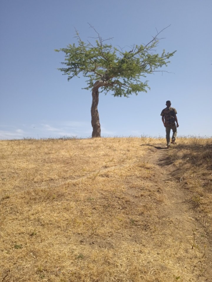 The Pidong Crater Lake is a lake of wonders and has a lot of mystery attached to it.As a child, I had heard a lot of stories concerning this lake and I decided to visit it someday. Last week, I got my chance . I was in Kerang for a few days and got to visit it.