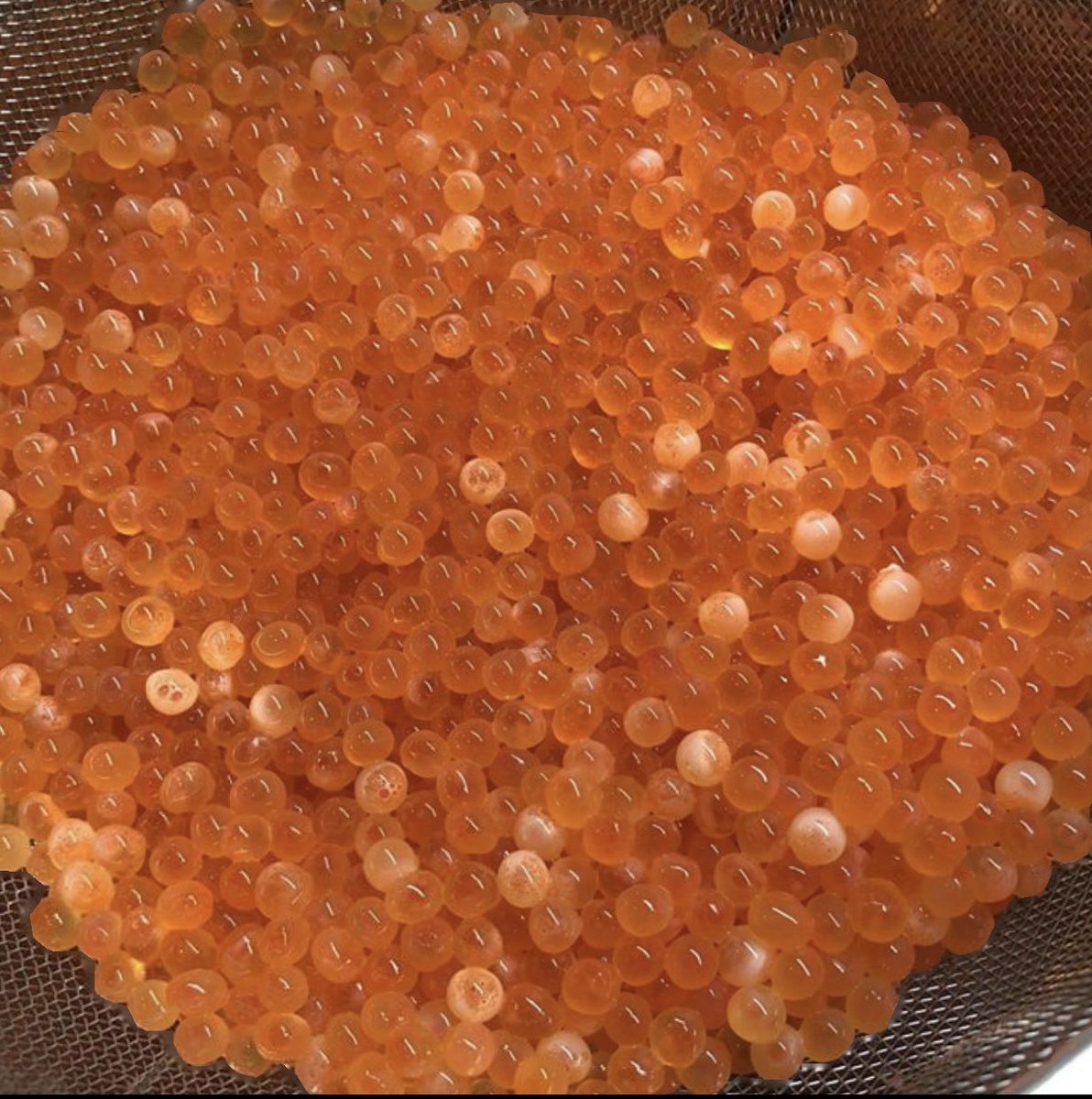 ট ইট র 駅 ー鉄板居酒屋ー 久しぶりに仕込みました みんな大好きイクラちゃんです マグロ ハマグリ ウニもご用意しております 本日も16時オープン よろしくお願いします 042 848 4763 いくら丼 刺身 焼きハマグリ ステーキ もつ鍋