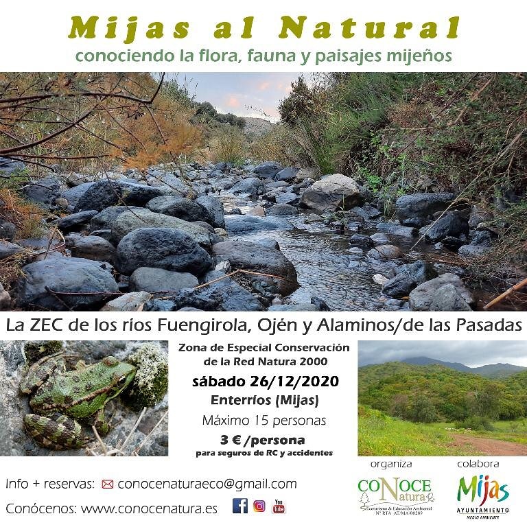 Arancha Lopez tweet media