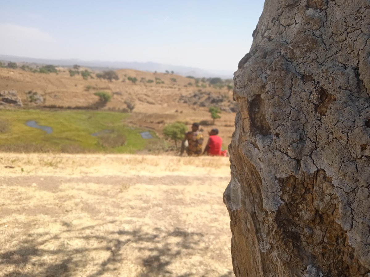 Meanwhile, a love story atop the hill …