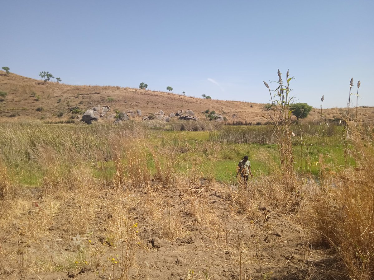 We went down the hill, close to the lake, but this was the closest I could go.