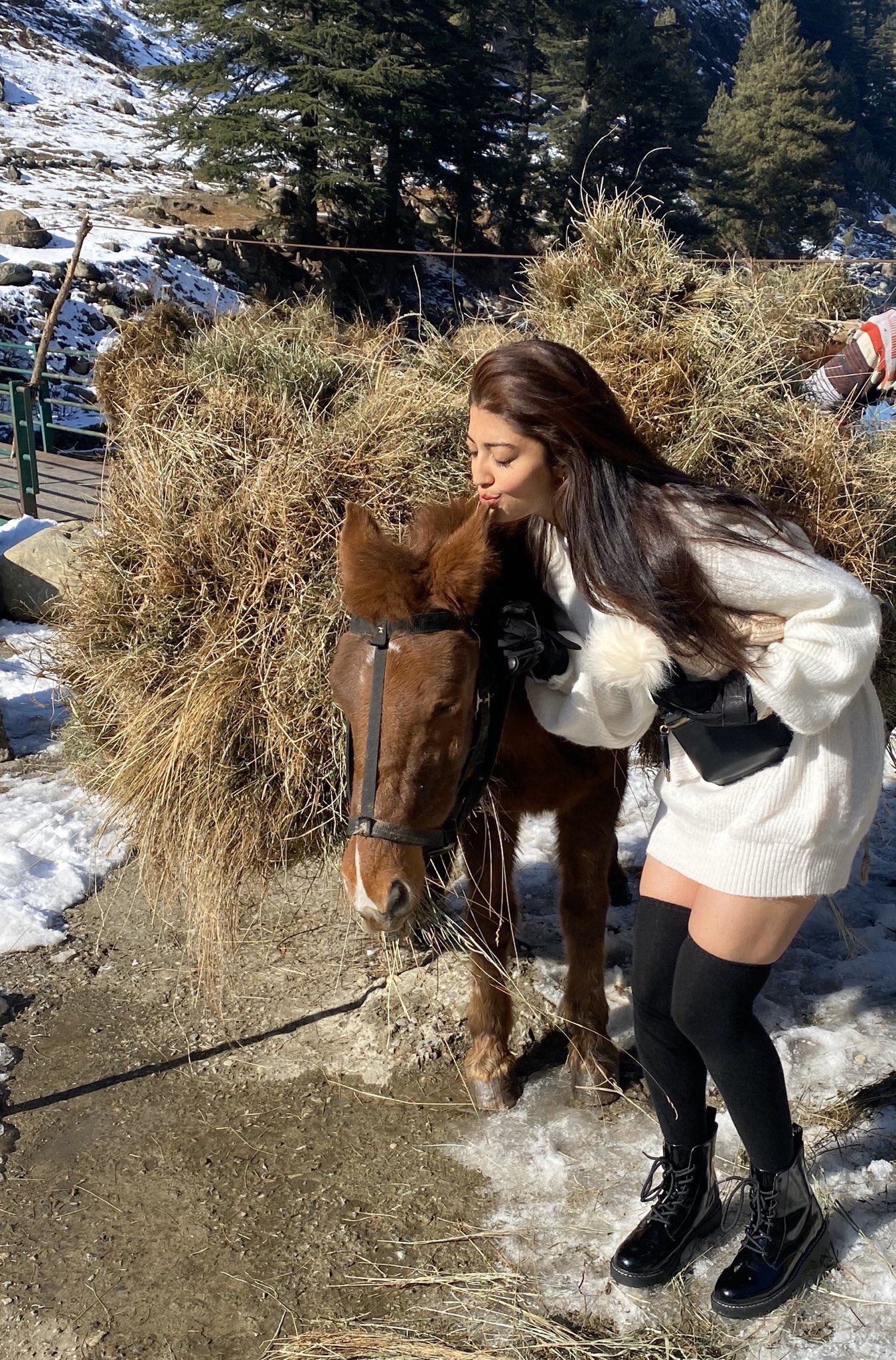 EpgKpeCUUAM10KK?format=jpg&name=large