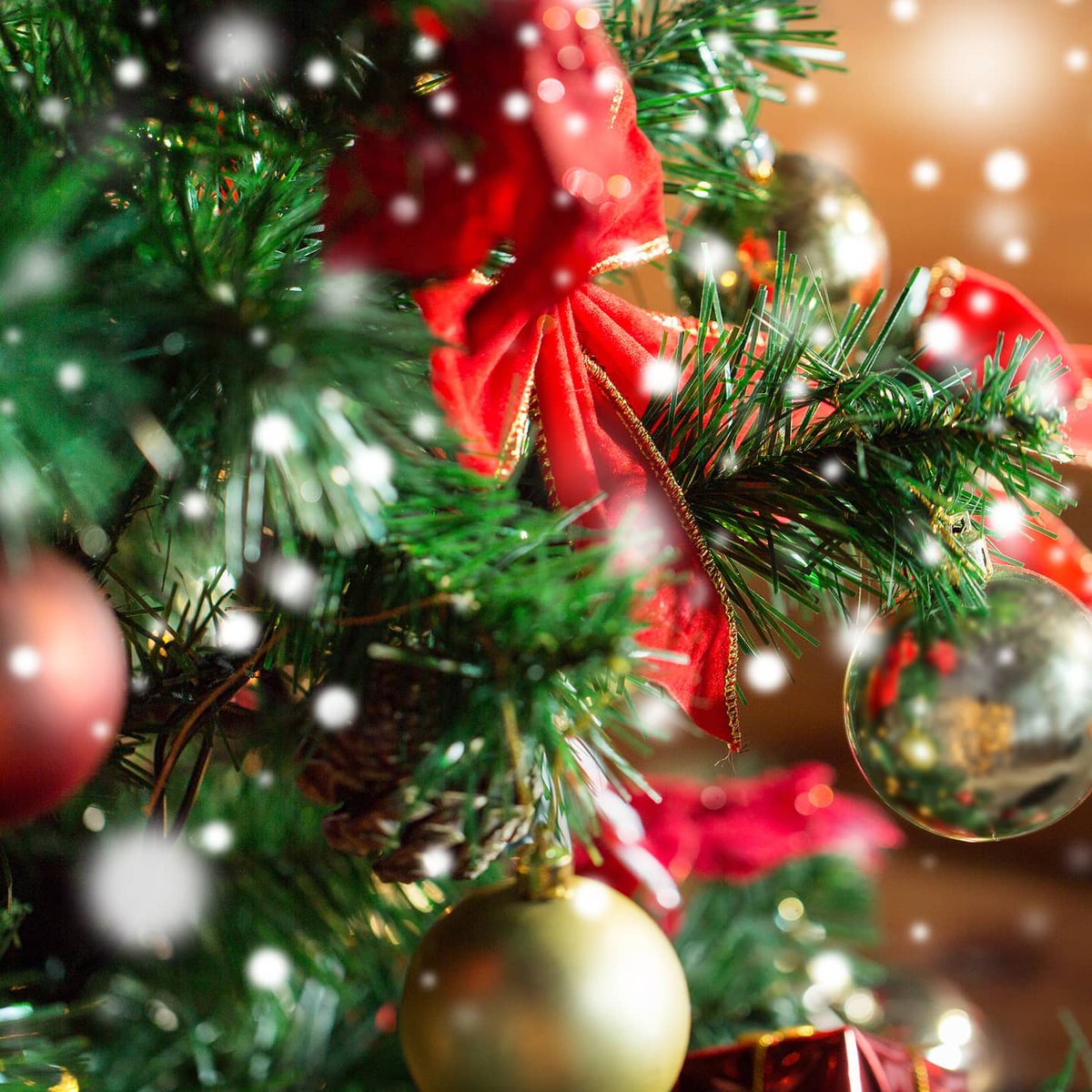 AutomotiveSnc's tweet photo. From the team here @AutomotiveSnc, we would like to wish everyone a Merry Christmas and a Happy New Year!
We will be closed as of Wednesday 23/12 and reopened on  4/1. Its been a tough year for all, so we appreciate your support throughout 2020. #sncautomotive #merrychristmas🎄 https://t.co/NgKxBjqtc6