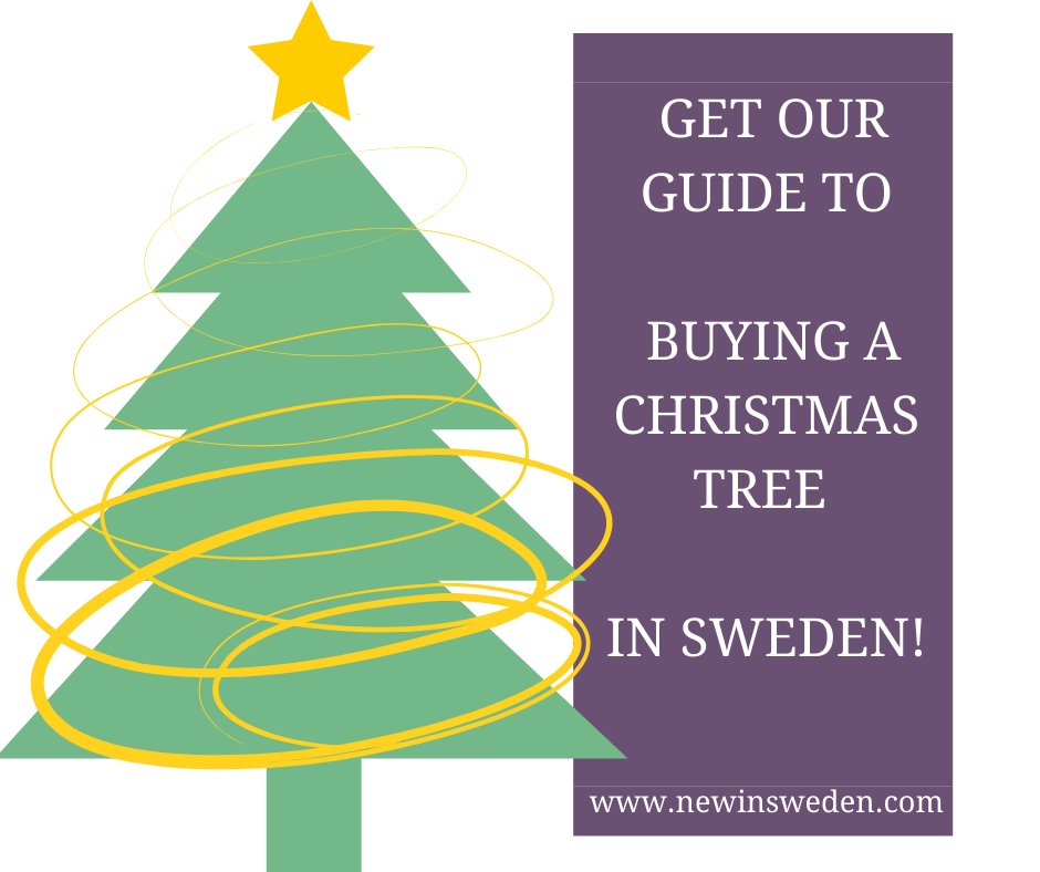 SwedenNew's tweet photo. I know, it isn't December yet but for those of you thinking of buying a Christmas tree in Sweden this year, here is our guide to them. 

Crucial November reading :)

https://t.co/zqY3Aplv5C https://t.co/k8cxMiFvqF