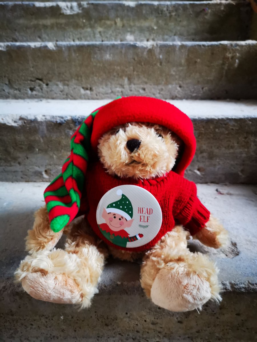 You've heard of #ElfOnTheShelf - but have you seen Bear on the Stair? Introducing our Head Elf, Cam!  #funfriday #friyay #christmas #xmas