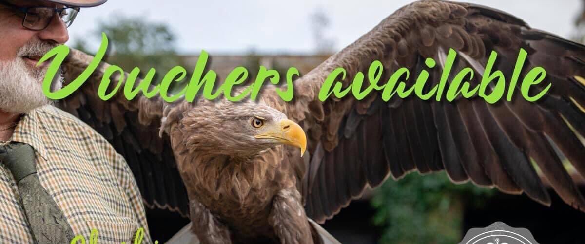 You can buy experience vouchers online right up to Christmas Eve &amp; even Christmas Day when you suddenly realise that you have forgotten someone. Give the gift of an experience that your loved one will never forget 🤗🦉🦅🎄🤗cheshirefalconry.com/special-offers #Christmas #ChristmasGiftIdeas