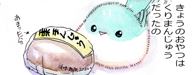 ちんぷる・いず・ざ・べすちょ
#みどりのマメちゃん 