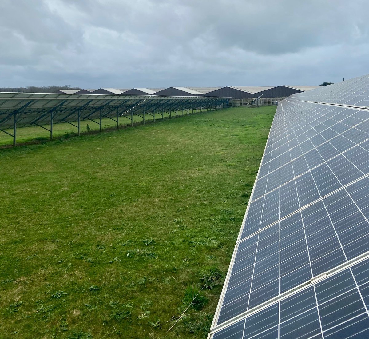 The main Packhouse is powered by solar panels. This year a ground source heat pump was installed to generate heat for the on-site accommodation, the exchange of cool air is fully utilised within the refrigeration units to keep our produce chilled to maintain the shelf life.