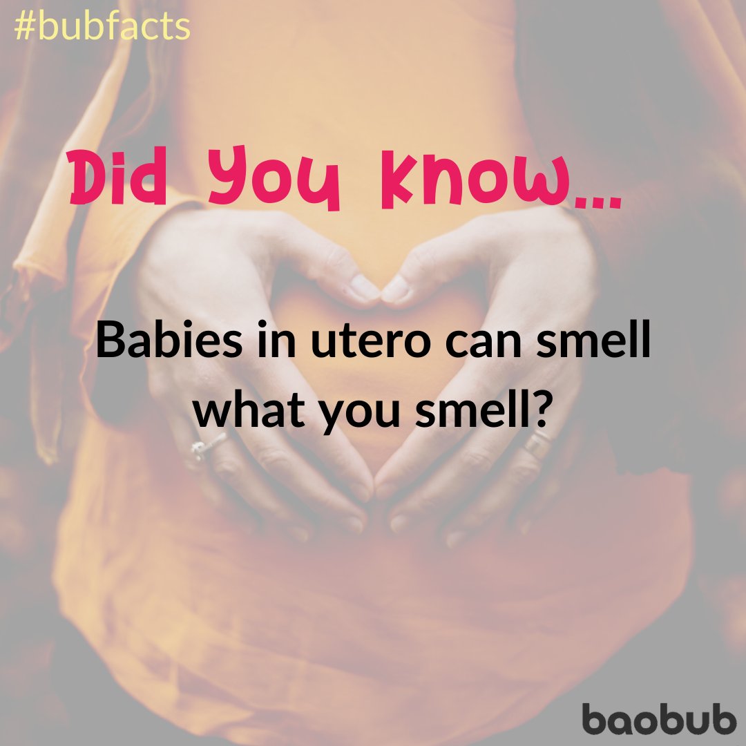 BaobubApp's tweet photo. At around the 28th week of pregnancy🤰, babies can begin to smell the same smells as their mother. In fact, the amniotic fluid enhances a baby’s smell 👃.
#bubfacts #baobub #gamesforkids #screenfreeparenting #familytimes #babyactivities #screenfreeparenting #learntogether https://t.co/gs2a9ddtP9