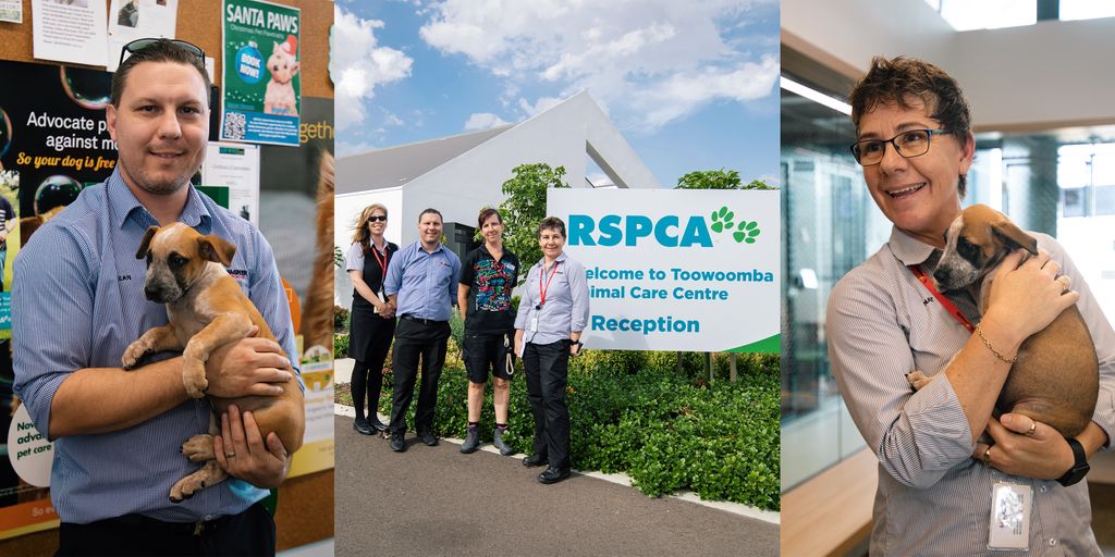 Our admin team put together a donation to personally gift the RSPCA in the Wellcamp Business Park. And of course, while they were visiting, they couldn’t help but say hello to a few puppies!
⠀
#WagnerCorporation #WellcampBusinessPark