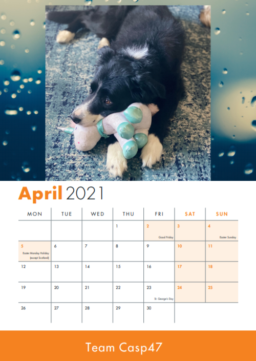 AmazingASKPrint's tweet photo. Get the super #cute @TeamCasp47 #calendar now!
https://t.co/mz9lyVKhse
#Dogs #Animals #Tiktok https://t.co/S1EF6tluvU