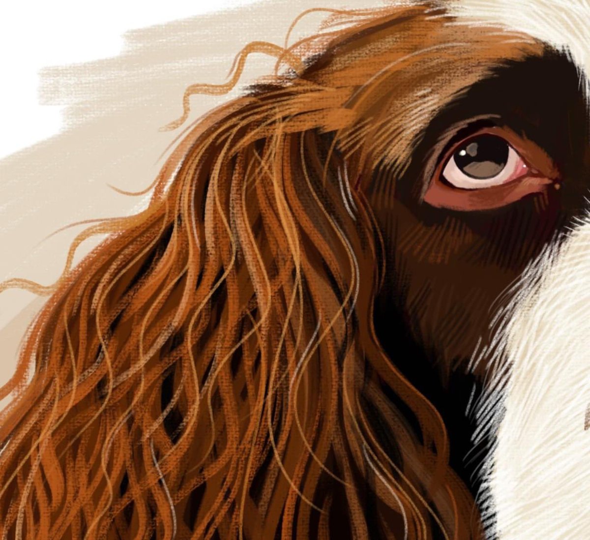 dkwillustration's tweet photo. I’ve been waiting for feedback on a number of projects so rather than sit and do nothing I decided to paint our furry resident Charlie. #digitalillustration https://t.co/sXmDyhLec0