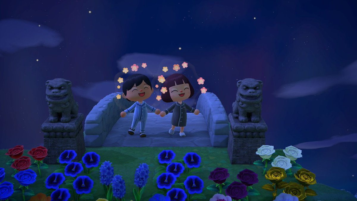 sari_acnh's tweet photo. Ducky and Sari 🥰 #AnimalCrossing #ACNH #NintendoSwitch https://t.co/CF5Y7wZei4