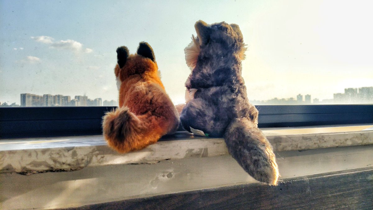 max__lion's tweet photo. 蠢狼肥狸发推越来越保守就是因为害怕有黑粉造谣生事甚至招摇撞骗 庚子不易 大家且行且珍惜 https://t.co/WGZsLyYaul