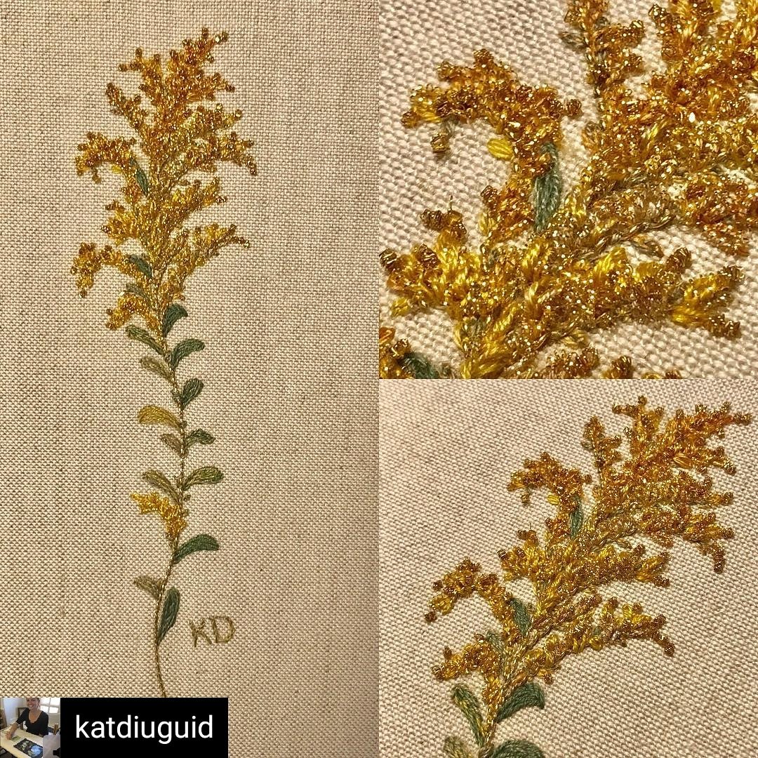 Goldenrod by member Katherine Diuguid #botanicalart #stitchedartisart